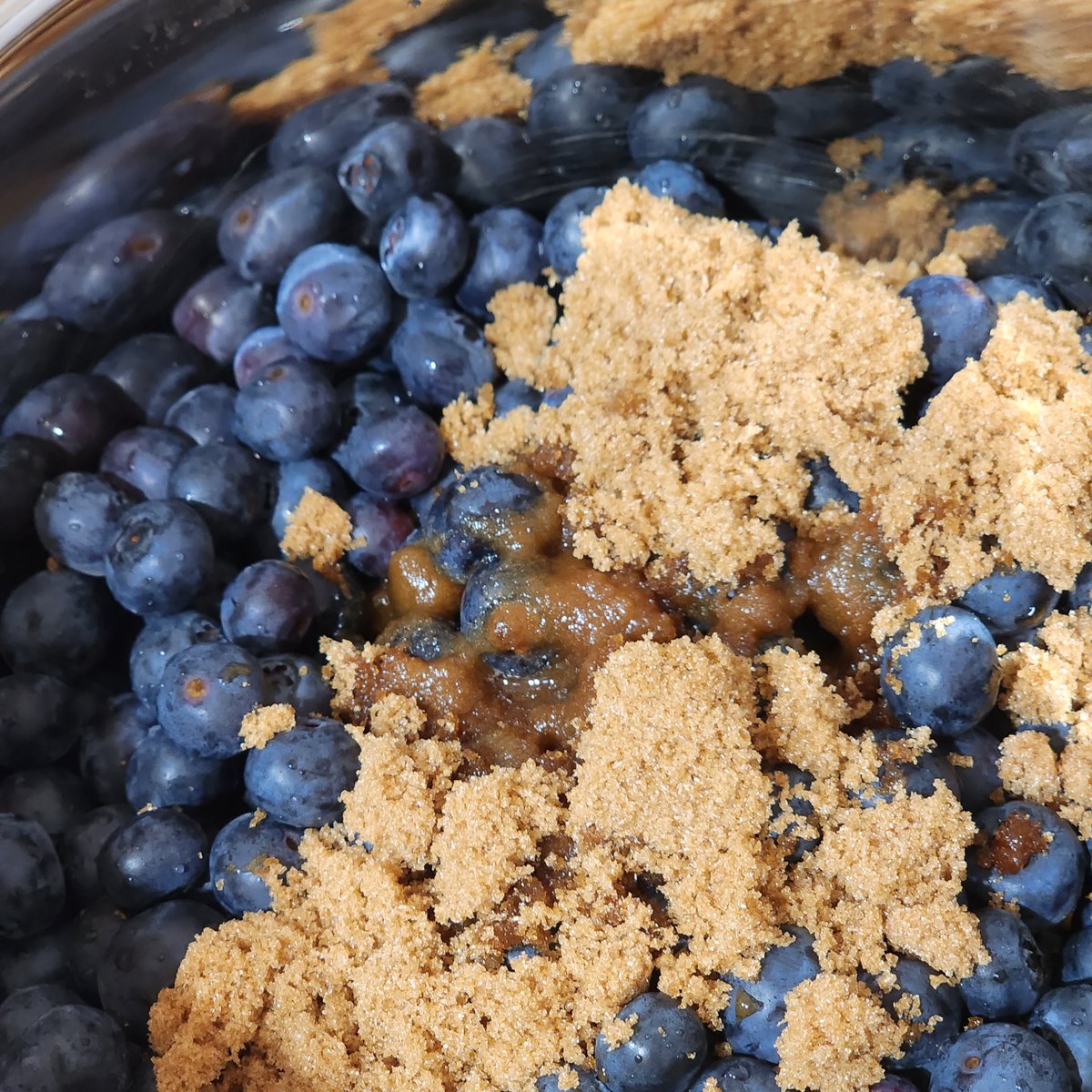 FriendlyCooks's tweet image. Really fun stream today. Blueberry Pie was so very yum served warm with our fresh blueberries #twitch #streamer #baking #Cooking #recipes