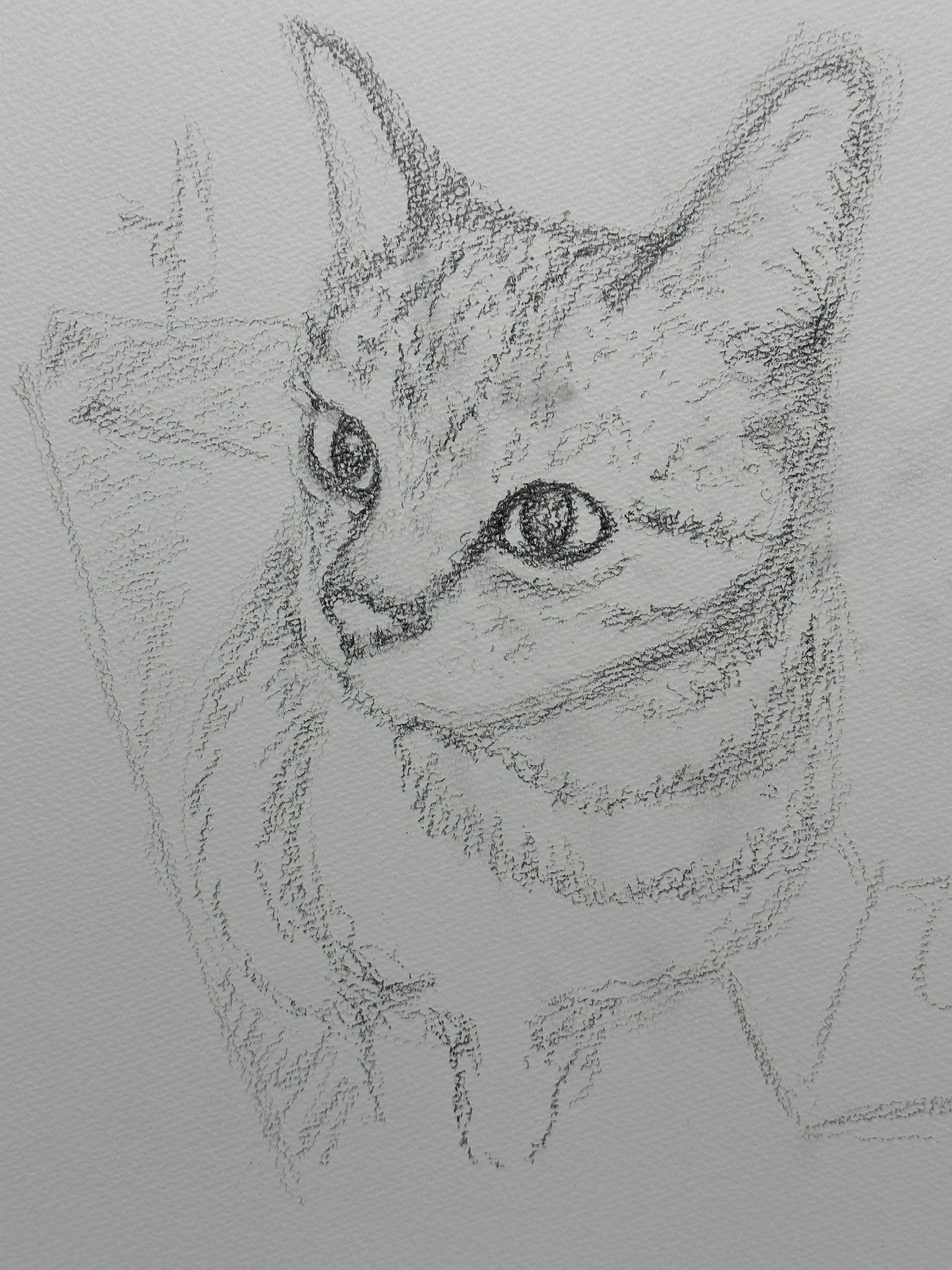 铅笔画 - Search / X