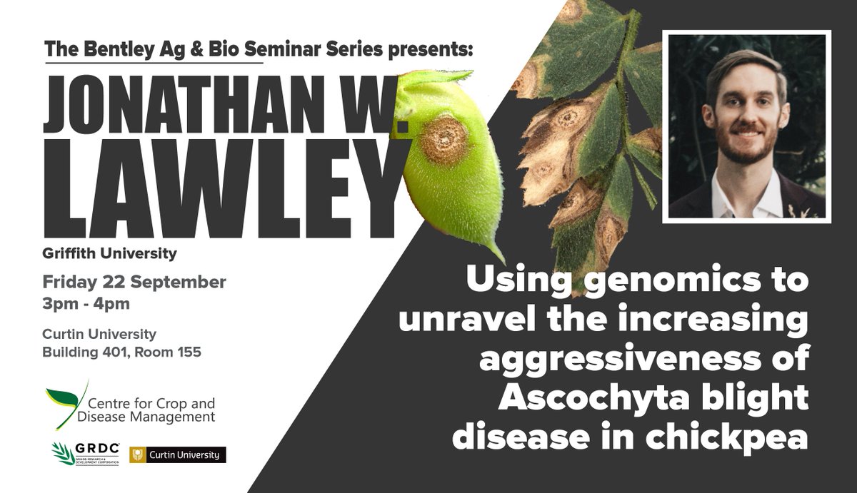 j_mylne's tweet photo. At @theCCDM we've strengthened, widened and opened our seminar series #BABSS. If you're on Bentley campus @CurtinUni Friday 22 September, come see Jonathan W. Lawley @lawleyjw @Griffith_Uni talk about genomics, ascochyta blight and chickpea 🗣️📢👂🤔 https://t.co/IQkeup1PT4
