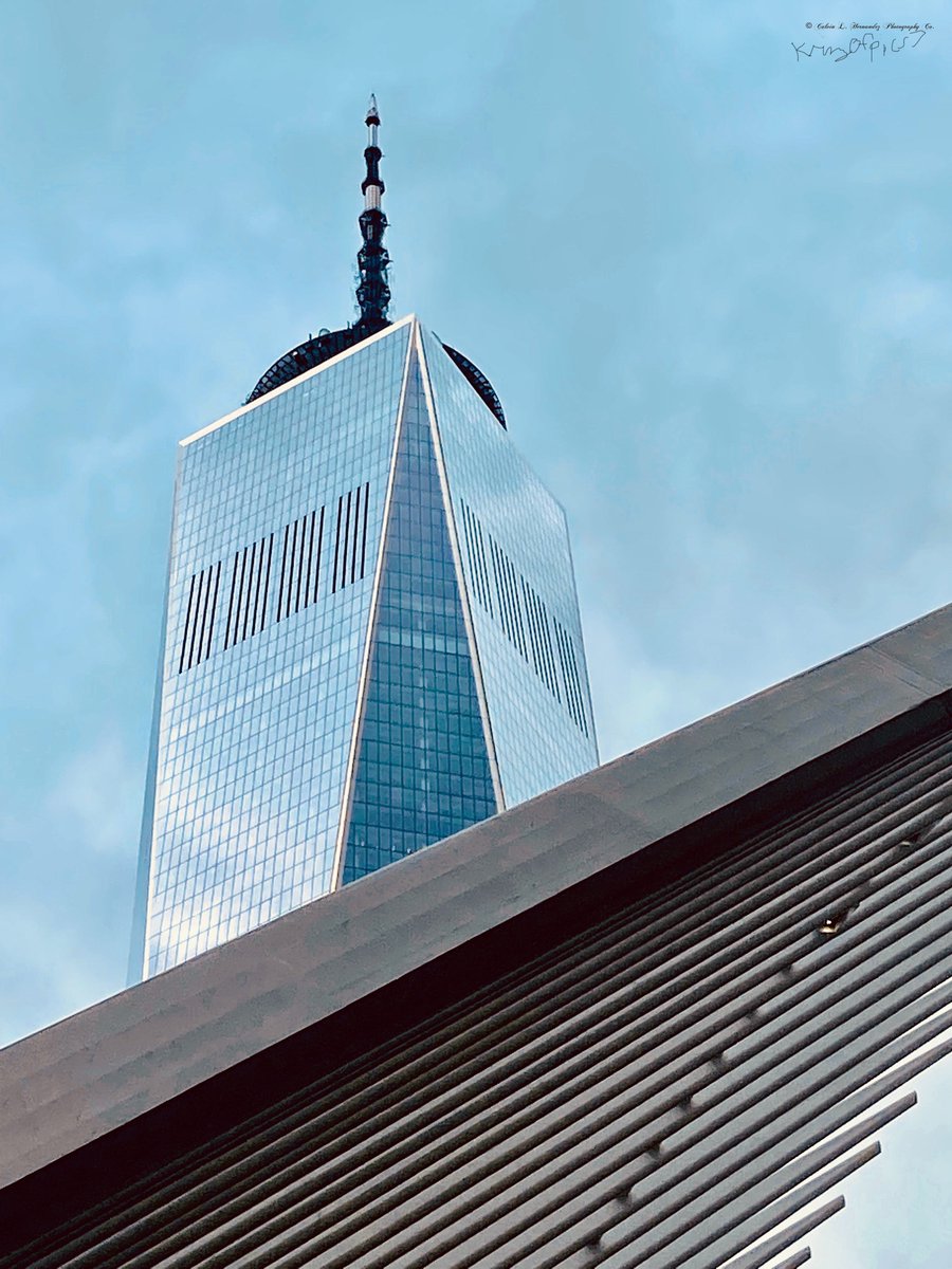 Resiliency in conjunction with healing..
#worldtradecenter #onewtc #wtc #architecture #occulus #lowermanhattan #newyorkcity #ny #skyscraper