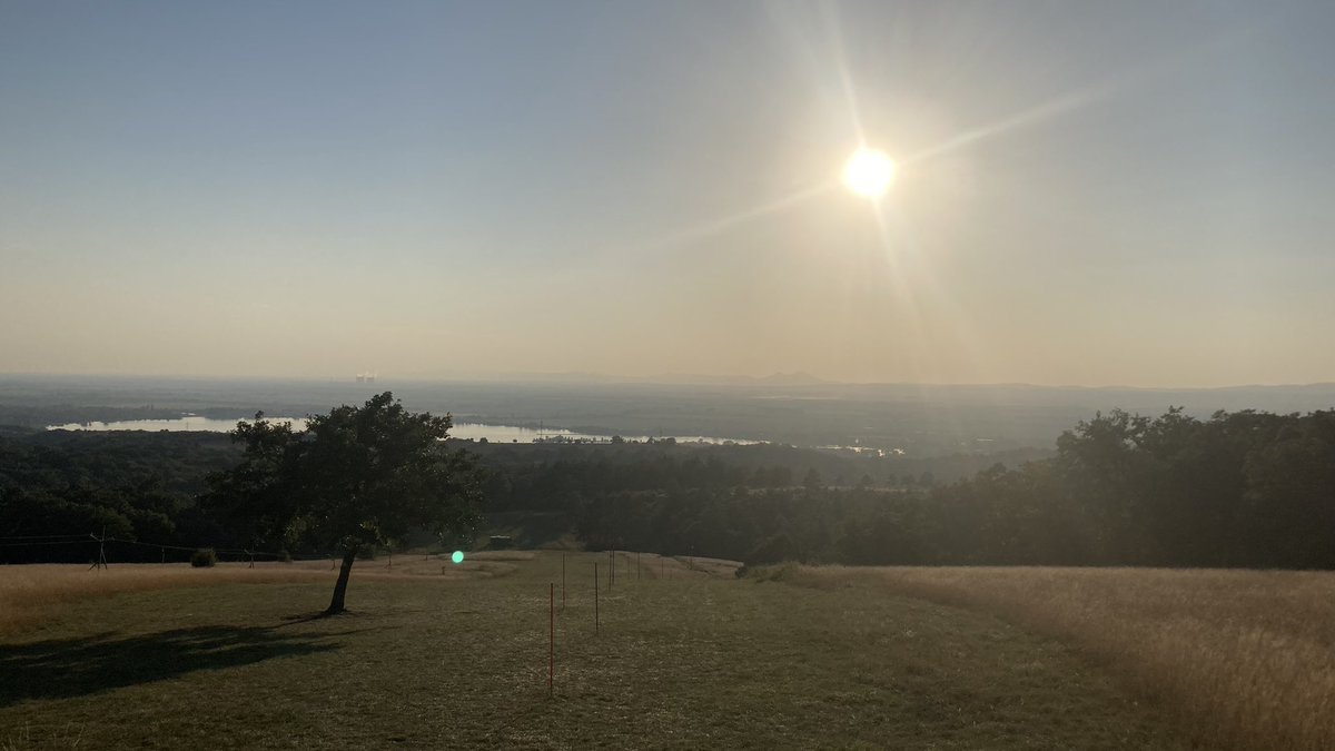 analogrunner's tweet image. vcera sme si boli zabehat s kalou