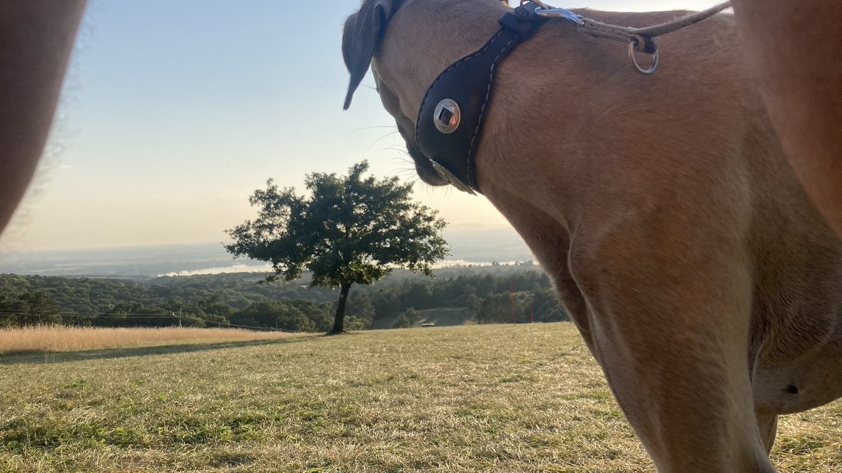 analogrunner's tweet image. vcera sme si boli zabehat s kalou