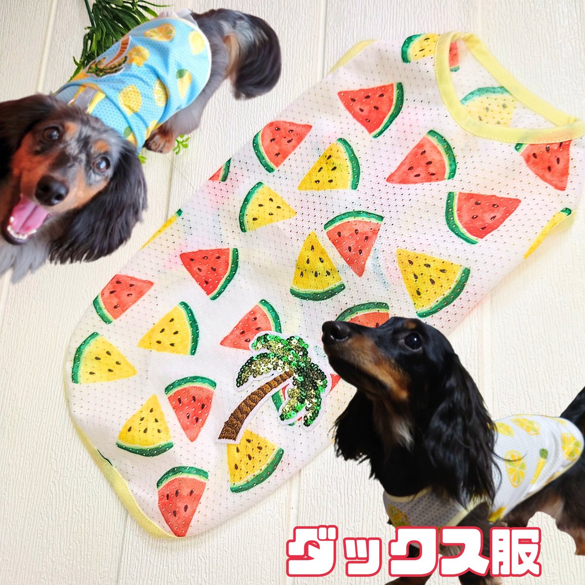 raimugidogs's tweet image. とっても着せやすい流行りのライムカラーのボーダーリブタンク販売開始しました〜💚うちのこの名前もライムです🤭笑 ぜひぜひ見てみてください😊残暑にぴったりなメッシュタンク各種もありますよ〜🍉🍋
#BEQUEM #ライむぎ工房
#メルカリShops  #ダックスサイズ