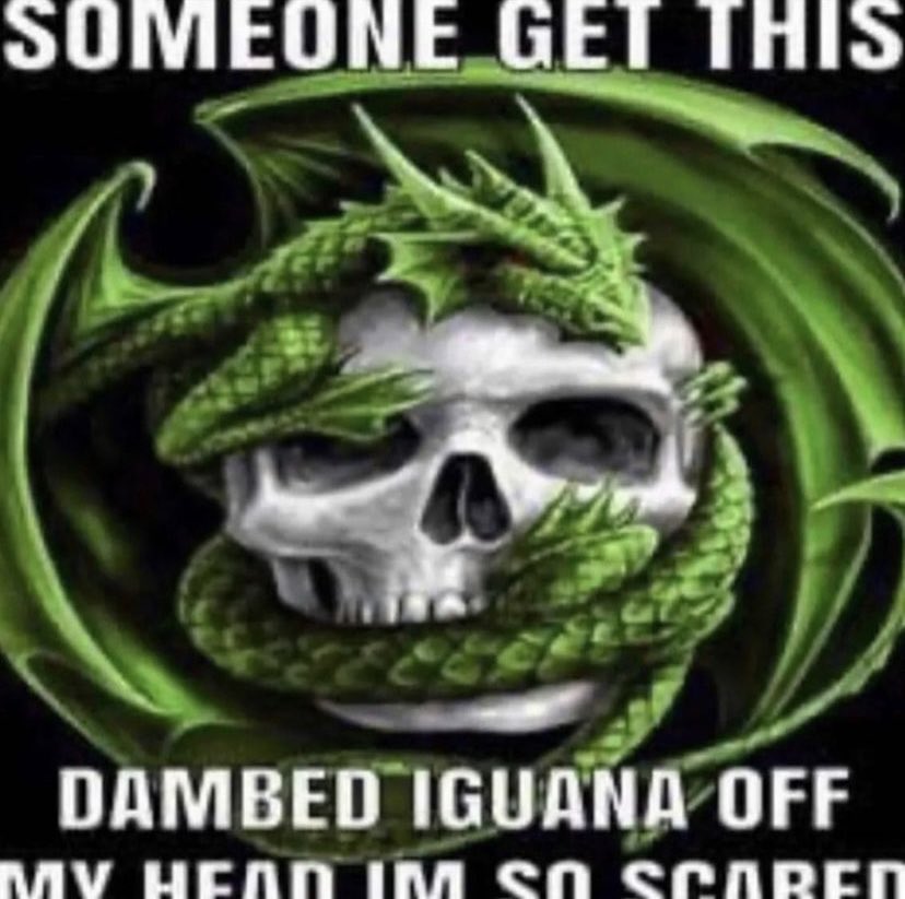 Content from psycuits