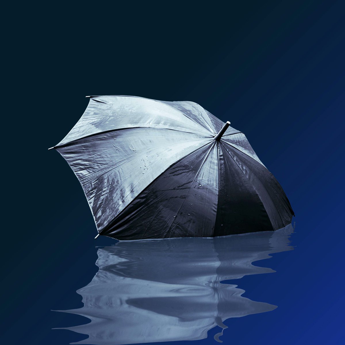 Do you want to know how to assess climate risk in the EU for your ESG efforts? The german environment agency provides a comprehensive taxonomy guide for doing so. 
tinyurl.com/zyv8ntf9
#climaterisk #ClimateCrisis #ClimateAction #ESG