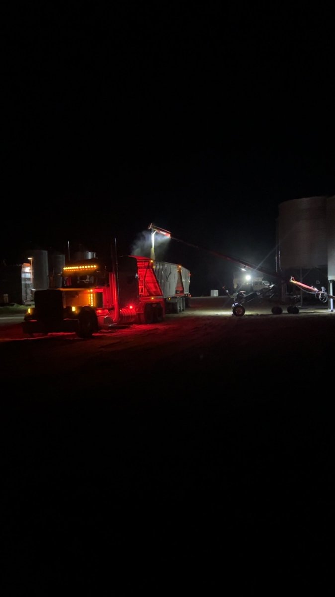 Late night barley loading