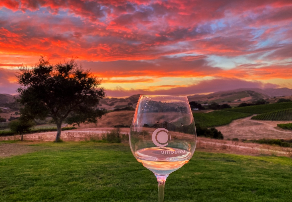 So good to be back at the ranch.  Enjoying a nice Clairette Blanche with an unreal sunset.