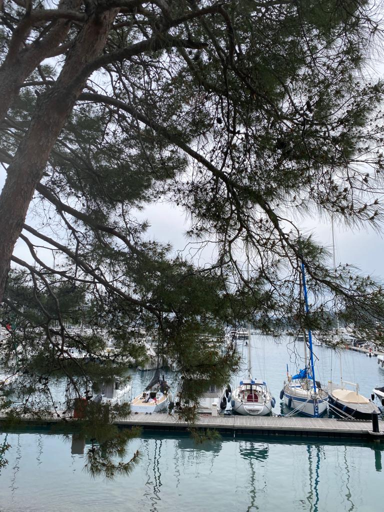 C2CYACHTING's tweet photo. Gocek: One of the many jewels in Turkey's crown... The beautiful coastal town in the Fethiye district within Muğla Province hosts six significant marinas that serve yachting in the region. https://t.co/Rbj87UiDy3