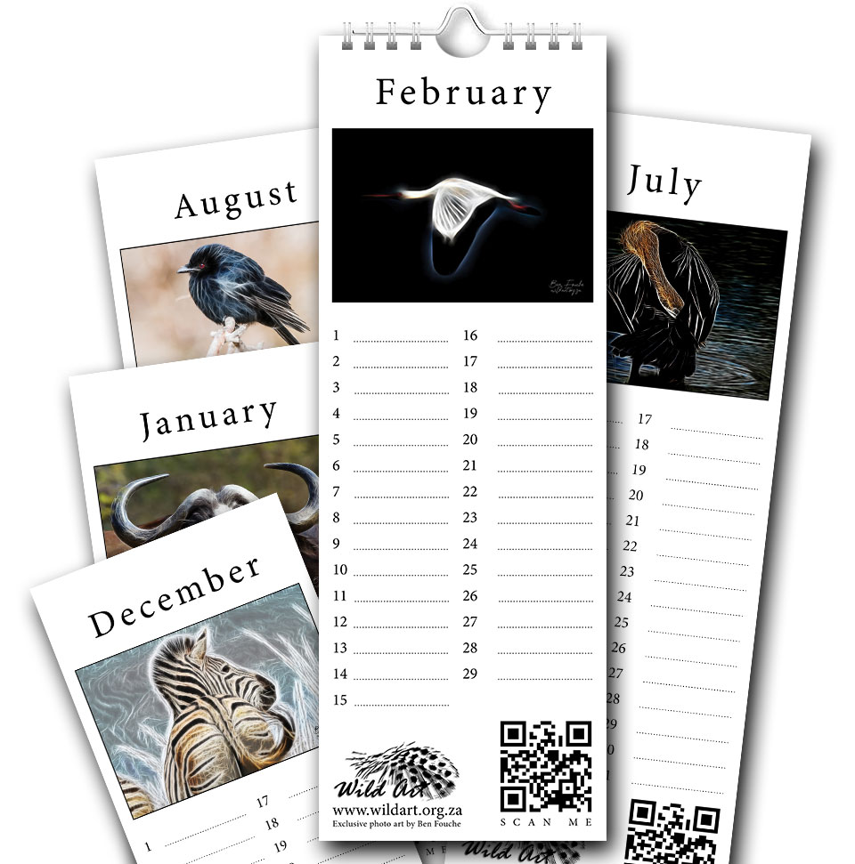 Receive your birthday calendar at this link.
wildart.org.za/free-birthday-…
#artist