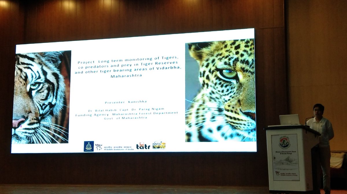 In the realm of the wild, where tigers roam, leopards silently thrive. An exploration in the hidden world of spotted shadows in Vidarbha. #WildlifeWhispers #TheJungleBook #TigerAndLeopardTales #IARS2023 <a href="/moefcc/">MoEF&CC</a>, <a href="/wii_india/">Wildlife Institute of India</a>, <a href="/bhlab_india/">BH LAB</a>, <a href="/wildwithwolves/">Bilal Habib</a>, <a href="/paragnigam09/">Parag Nigam</a>,