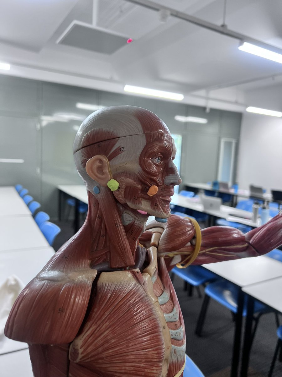 Dr Connor Blythe (PhD) tweet media