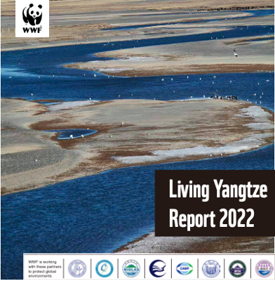 WWF Water 💧🐟 tweet media