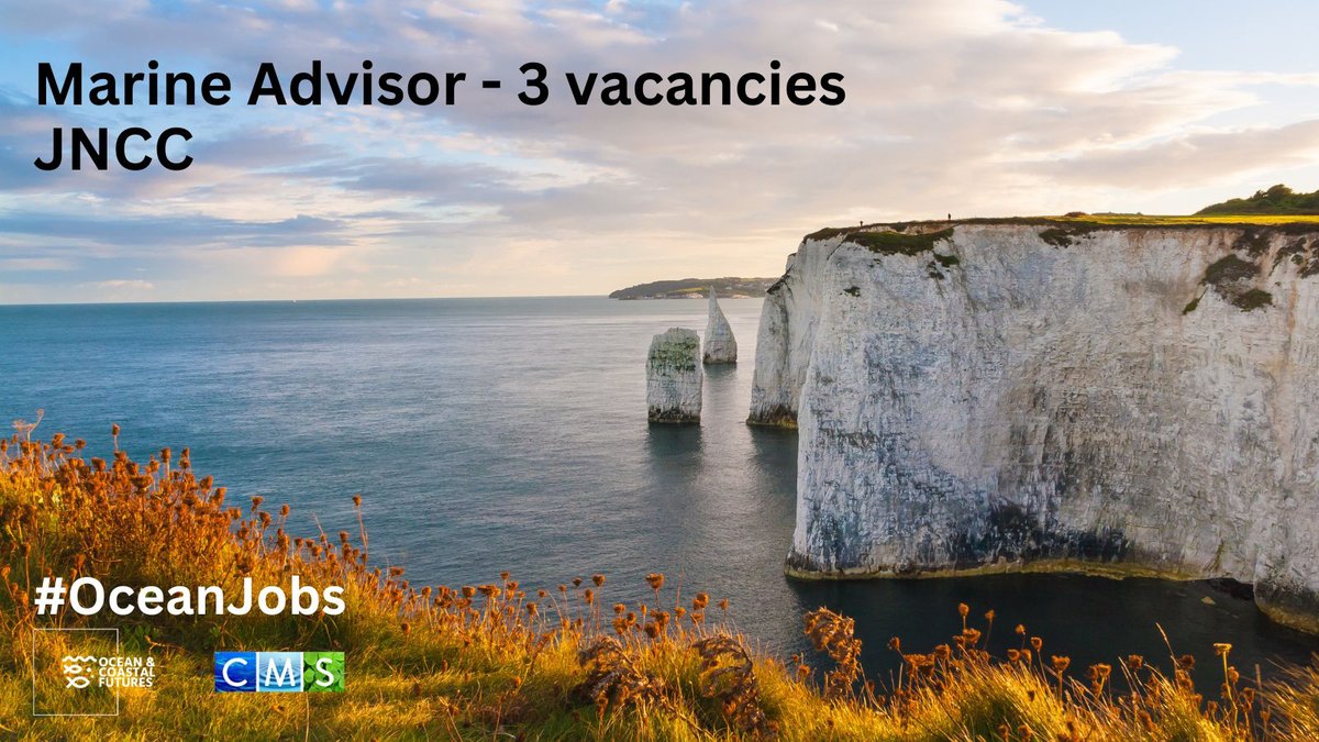 New job opportunities:
Marine Advisor (3 vacancies) - <a href="/JNCC_UK/">JNCC</a>
▪️Salary: £29k+
▪️Location: Peterborough/Aberdeen, UK/Flexible
▪️Closes: 23:55 (BST), 24 September
▪️Full details here 👉 cmscoms.com/?p=36154

Sign up for our CMS #OceanJobs alerts here 👉 bit.ly/3MiyV7i