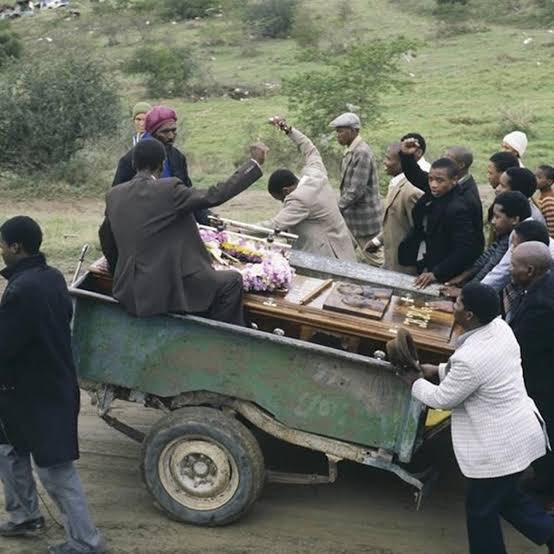 Lorenzo Davids tweet media