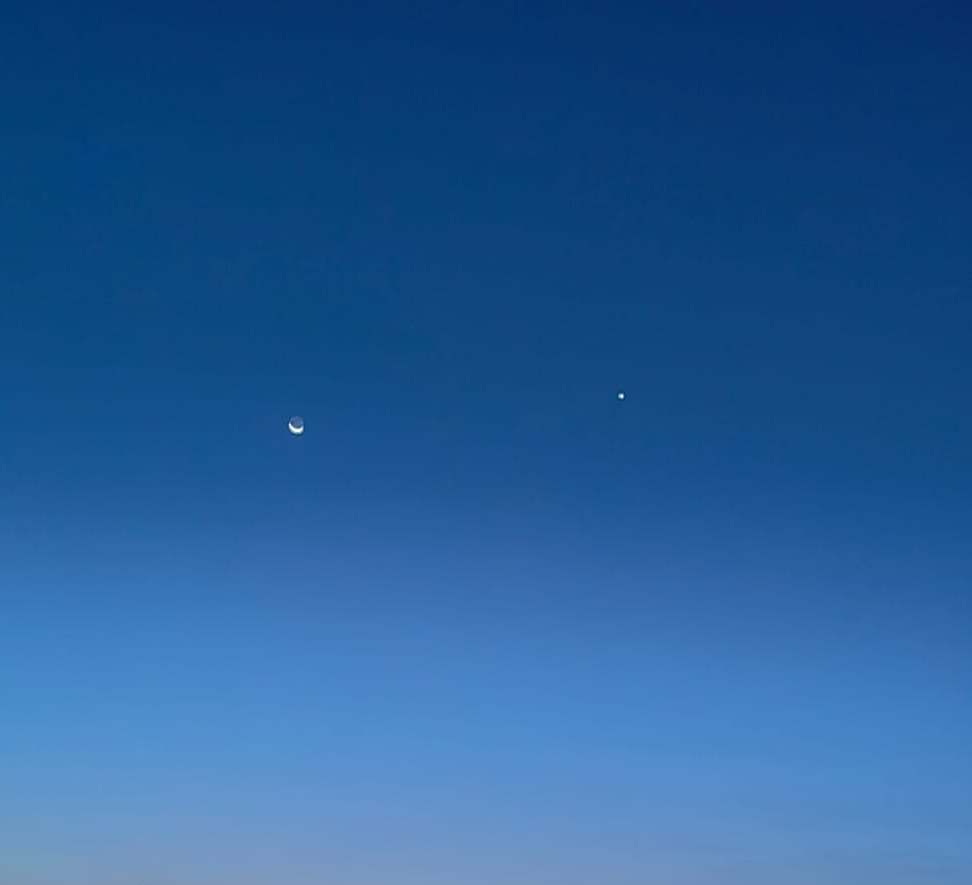 Preciosa la Luna acompañada de un Venus brillante y espectacular esta mañana. Buenos días.