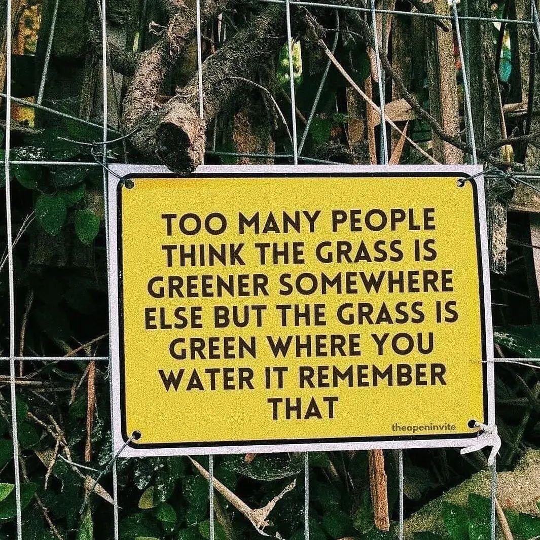 MindWisdomMoney's tweet image. 3.