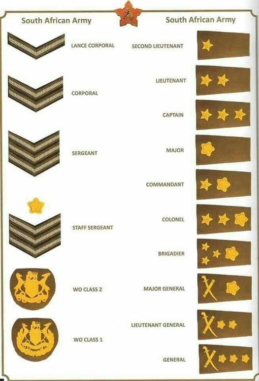 thyphoidjack's tweet image. older #SAArmy rank insignia