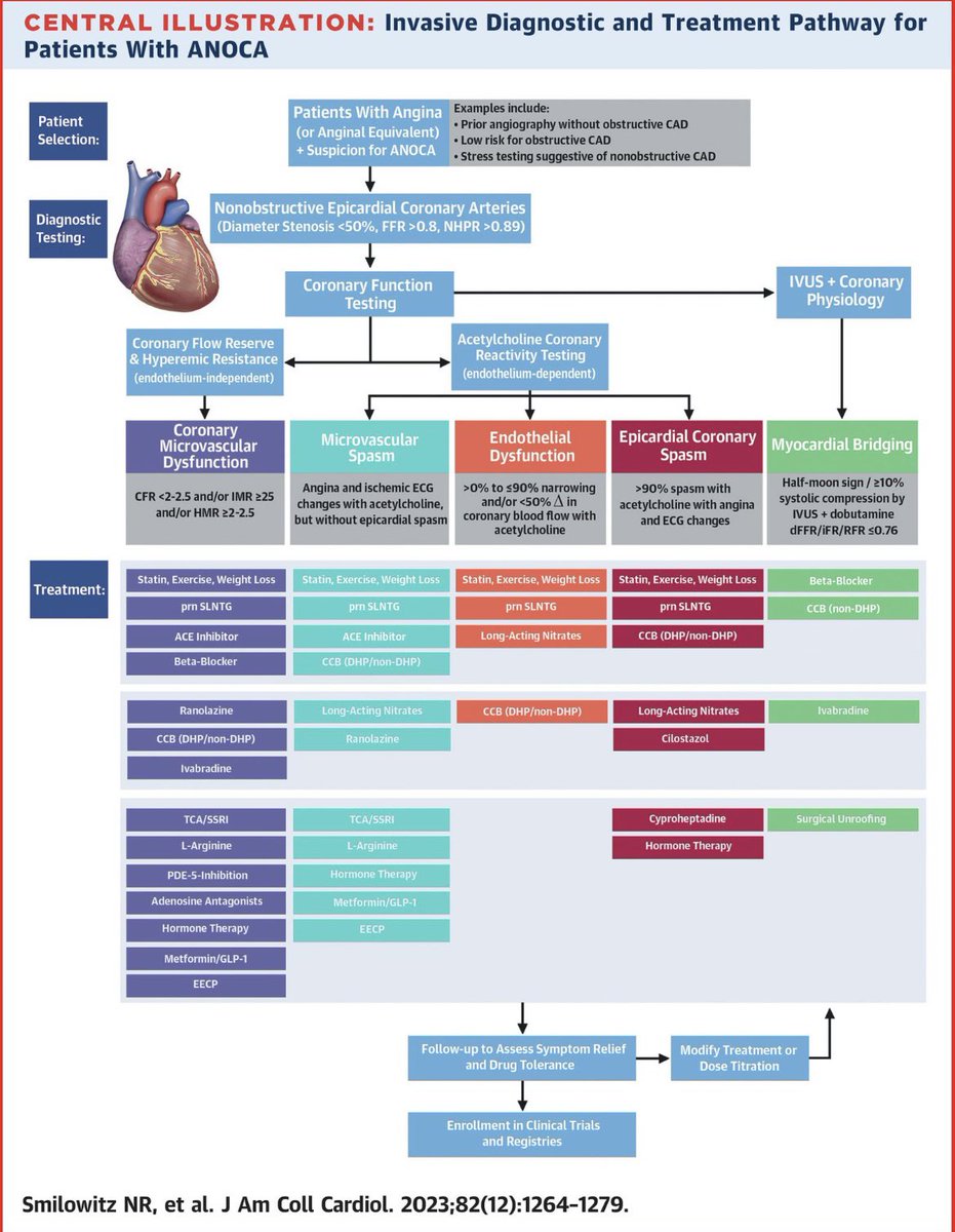 WOW 💥 So well done!! 👏👏👏 Everyone should keep a copy of this paper (or at least this figure) close by! #CardioTwitter #ANOCA #INOCA #CMD #vasospasm #myocardialbridge jacc.org/doi/10.1016/j.…