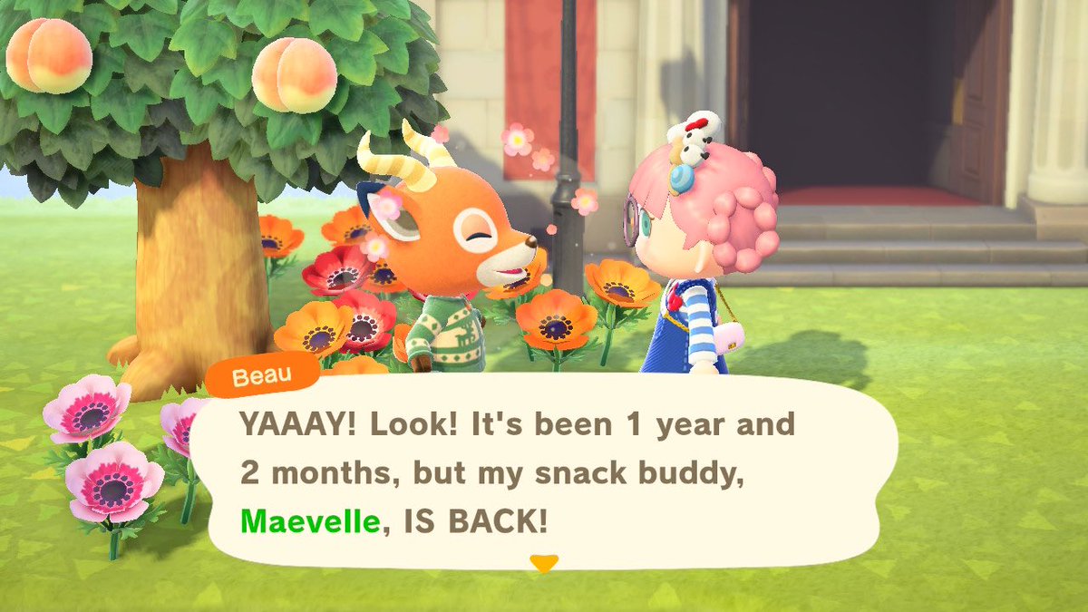 1 year and 2 months… He counted it himself! I’m sorry Beau #AnimalCrossing #AnimalCrossingNewHorizons #Nintendo