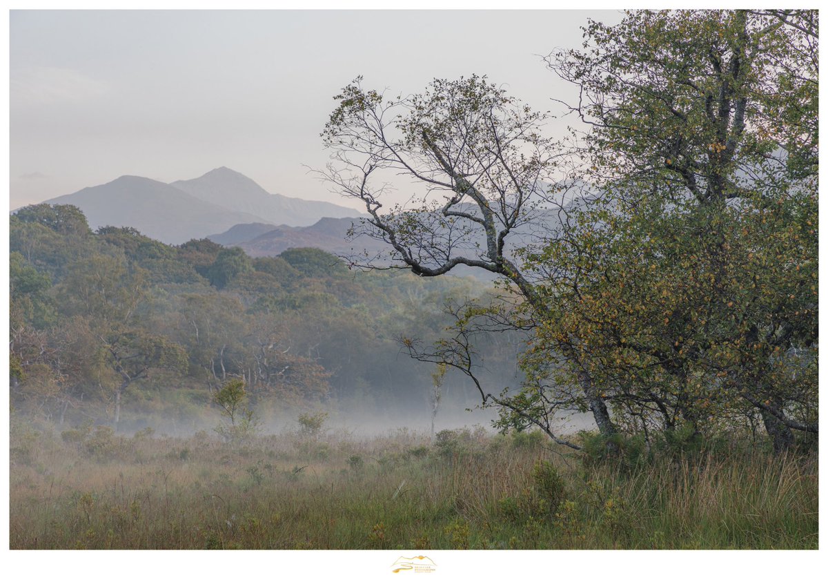 A subtle scene from a charming little corner of Eryri.