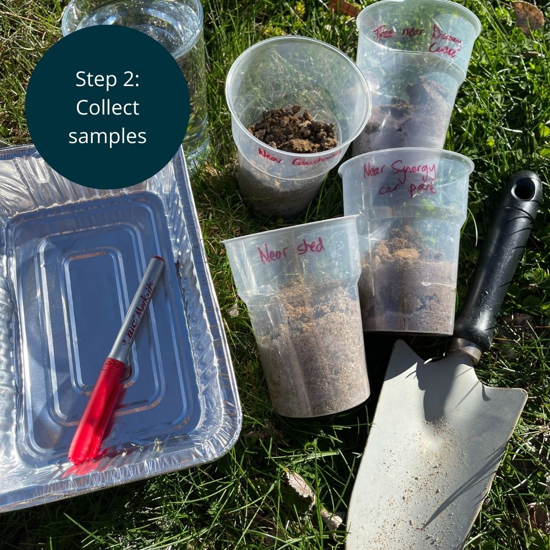 CSIROPublishing's tweet image. In honour of this, the Double Helix editorial team have published a fun new activity. So roll up your sleeves and prepare to get your hands dirty.

#NationalBilbyDay #ScienceActivity #SoilScience #DoubleHelix

blog.doublehelix.csiro.au/digging-into-s…