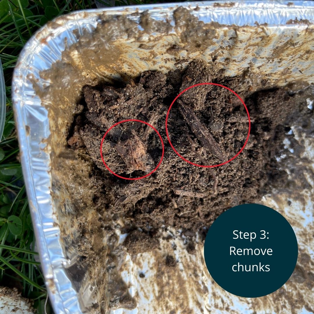 CSIROPublishing's tweet image. In honour of this, the Double Helix editorial team have published a fun new activity. So roll up your sleeves and prepare to get your hands dirty.

#NationalBilbyDay #ScienceActivity #SoilScience #DoubleHelix

blog.doublehelix.csiro.au/digging-into-s…