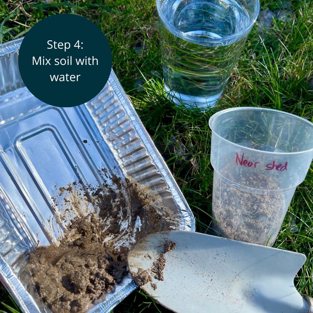 CSIROPublishing's tweet image. In honour of this, the Double Helix editorial team have published a fun new activity. So roll up your sleeves and prepare to get your hands dirty.

#NationalBilbyDay #ScienceActivity #SoilScience #DoubleHelix

blog.doublehelix.csiro.au/digging-into-s…