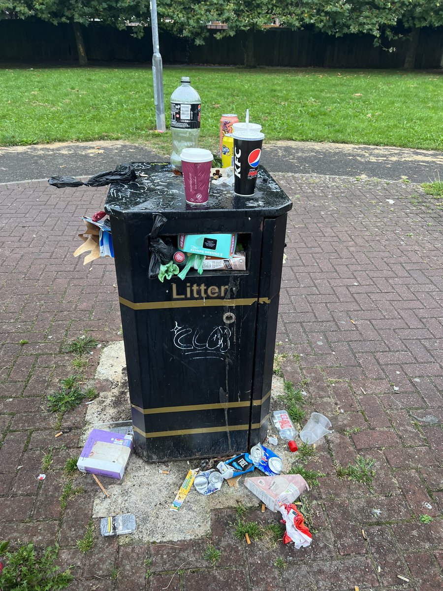 taylor83_taylor's tweet photo. ⁦@GMB⁩ I know this is a public bin but bins only work if they are emptied, this is in my local park and looks like this every day! https://t.co/IXk3Q6si0m