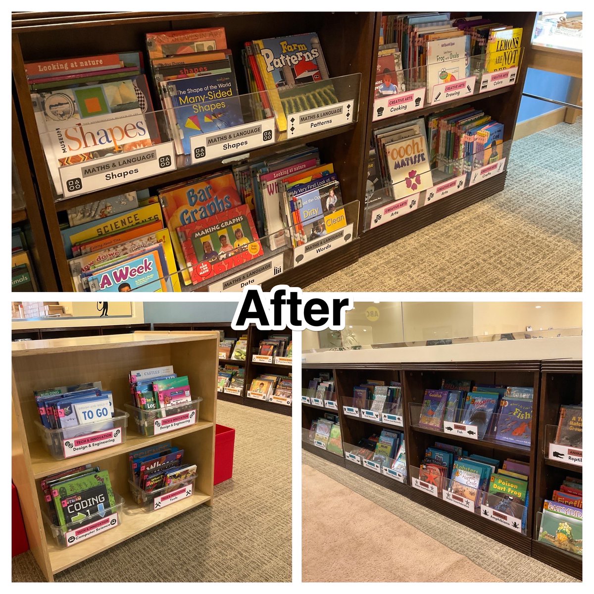 Candace Taylor-Weber tweet media