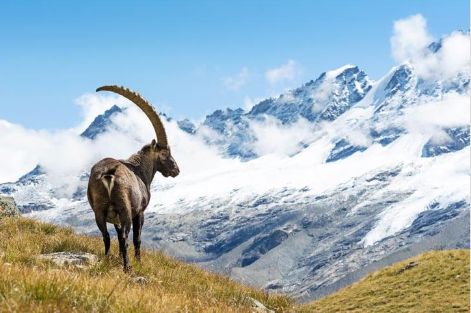 Have you seen Andrea Park's latest piece via <a href="/FierceBiotech/">FierceBiotech</a> on <a href="/IbexMedAx/">Ibex Medical Analytics</a>? It's latest $55M VC round and Galen Breast HER2 product launch are just some of the exciting things happening at Ibex. Read here: fiercebiotech.com/medtech/ibex-d…