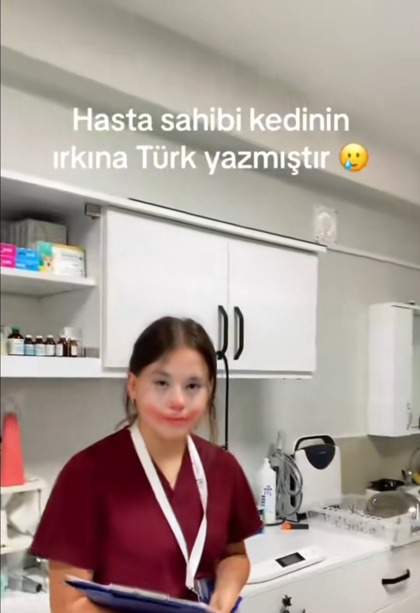Türklerin zeka seviyesi