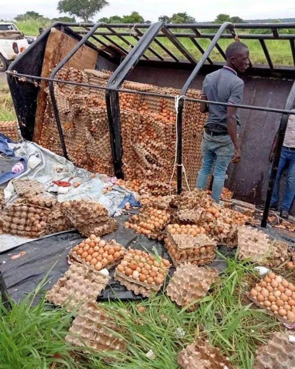 hakunaga6's tweet image. Boss washa data