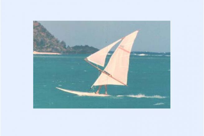 Histoire de la planche à voile 
👉 bateaux.com/article/30955/…