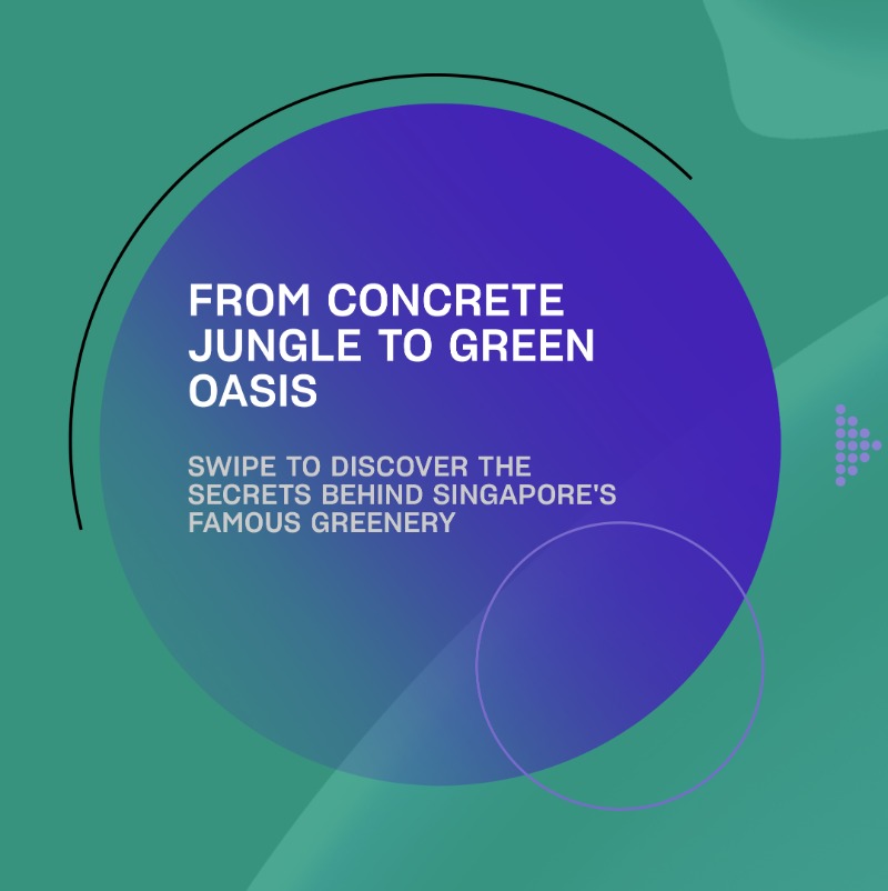 Making Prosperity tweet media