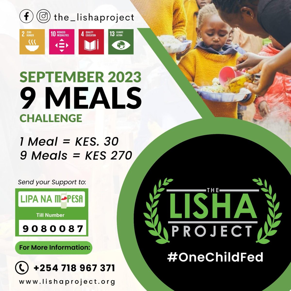 The Lisha Project tweet media