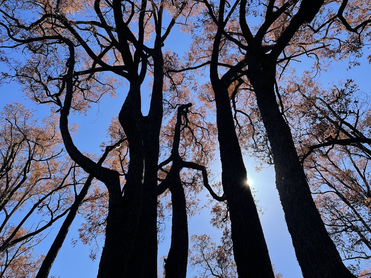 Emily Lette tweet media