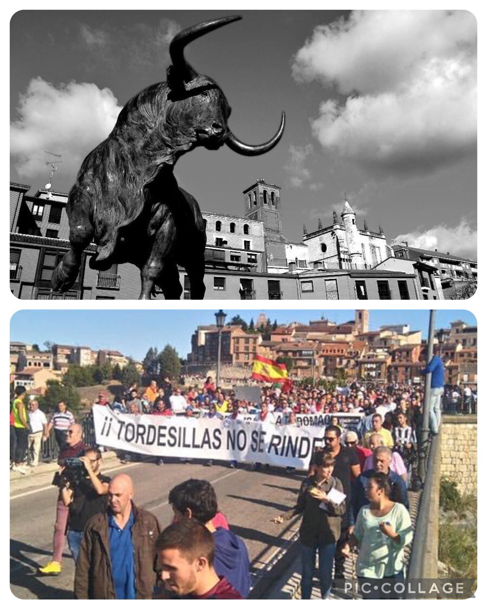 HOY Y SIEMPRE, SÍ AL
TORNEO DEL TORO DE LA VEGA

Prohibido por la Junta de Castilla y León en 2016. Decreto-ley 2/2016, de 19 de mayo. 
Siete años.