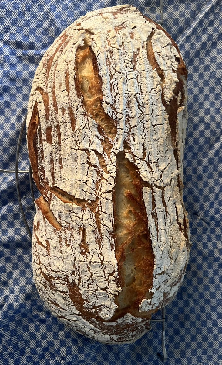 OnlineFrau's tweet photo. @FotoVorschlag 'Analog'es Pane Pugliese: Mit der Hand geknetet und über Grillkohle aufm Pizzastein gebacken

Eben gerade rausgeholt 🍽️

 #FotoVorschlag #365Projekt #52Projekt https://t.co/SsxUHd1FPK