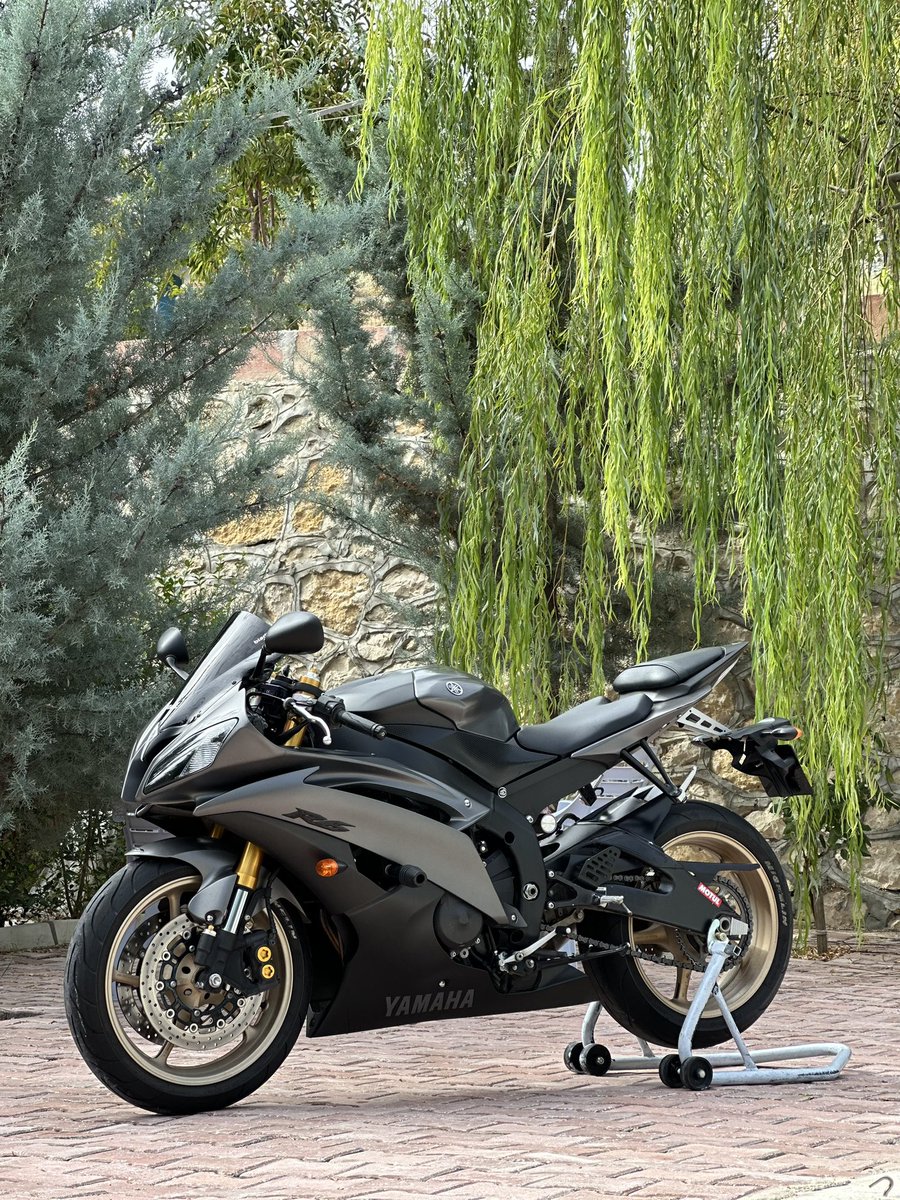 motoruolanadam tweet media