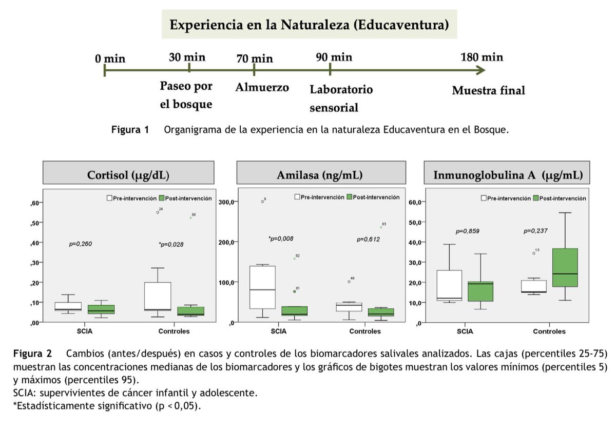 jaortegagarcia's tweet photo. ¿Como afecta la #TerapiaDeBosque a los supervivientes de cáncer?
#ForestTherapy
Estudiamos el efecto de las experiencias de corta duración (<2h) en el bosque en biomarcadores neuroendocrinos y de inmunidad
👉’hacia modelo de salud más ecosistémico’
https://t.co/DYWgxPGkcu https://t.co/Z5FbGhkGXi