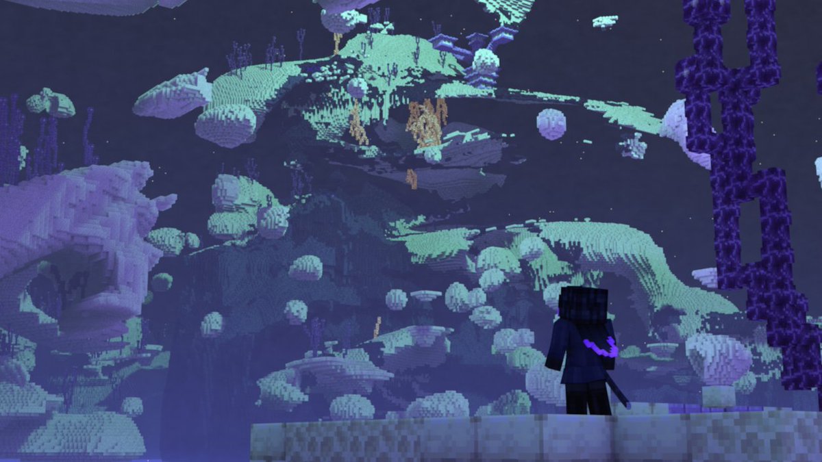 Rainolaguer's tweet photo. And so begins the heroine's journey into the Heart of the Gateways, a magical island hidden deep within the ancient Ender Kingdoms... https://t.co/MSMFtpJKyg