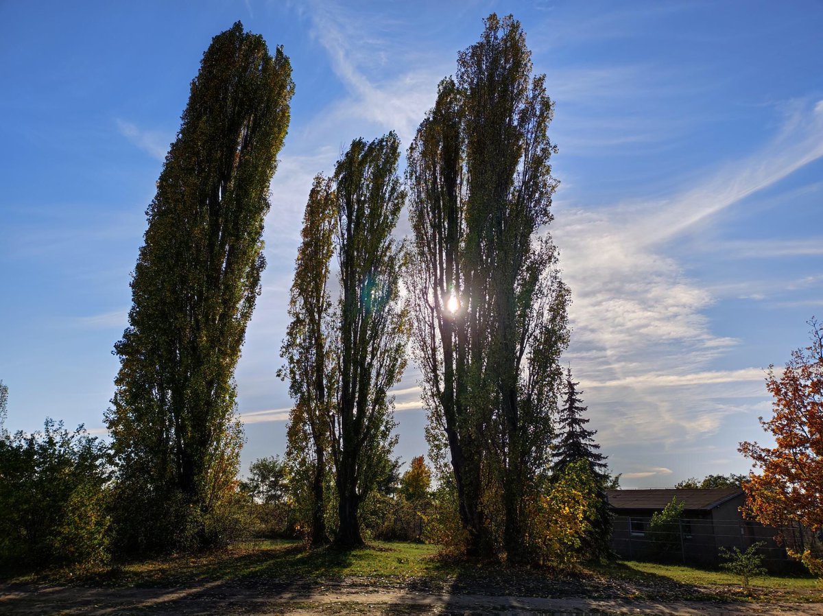 The_Untaggable tweet media