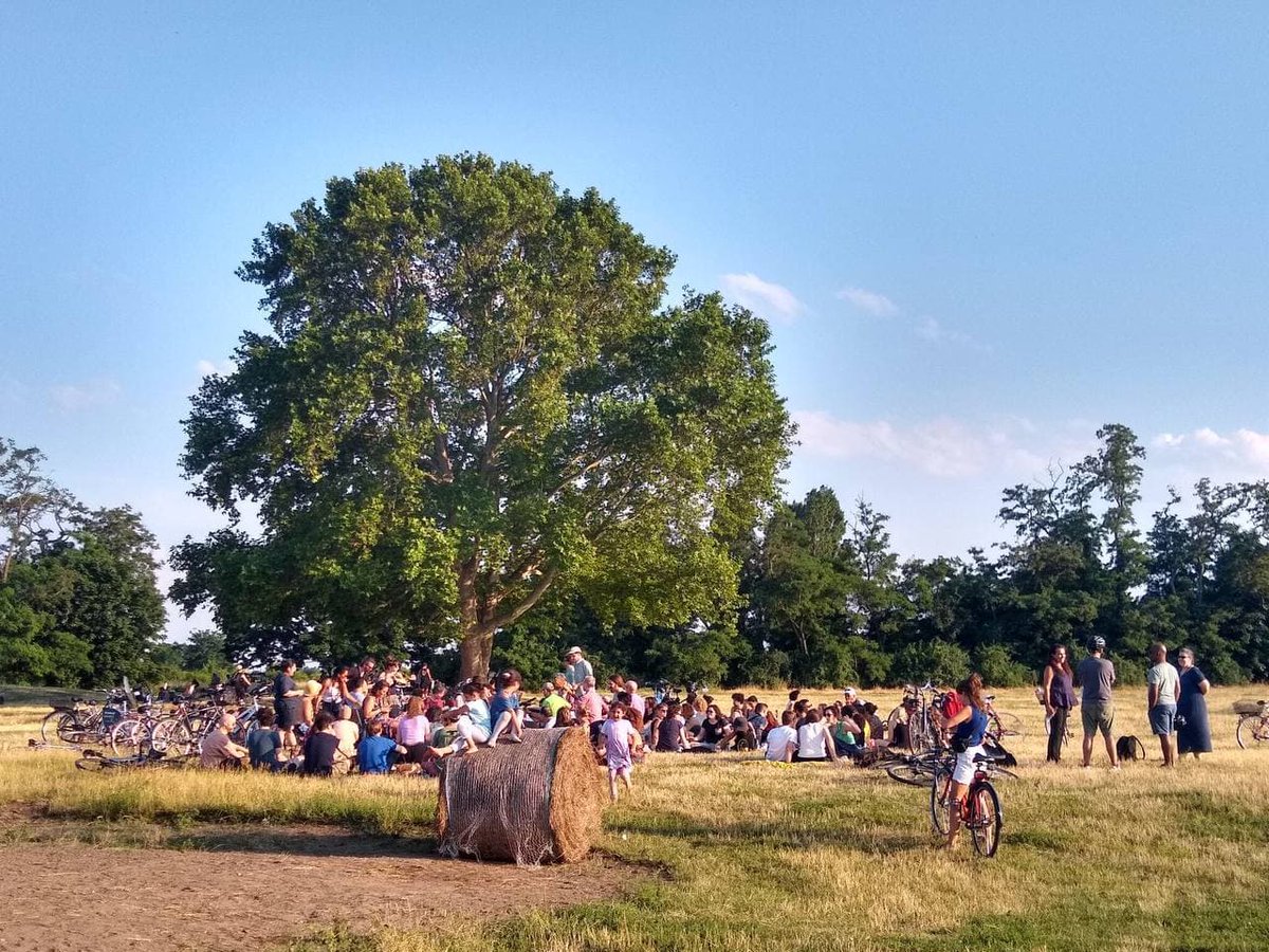 The_Untaggable tweet media