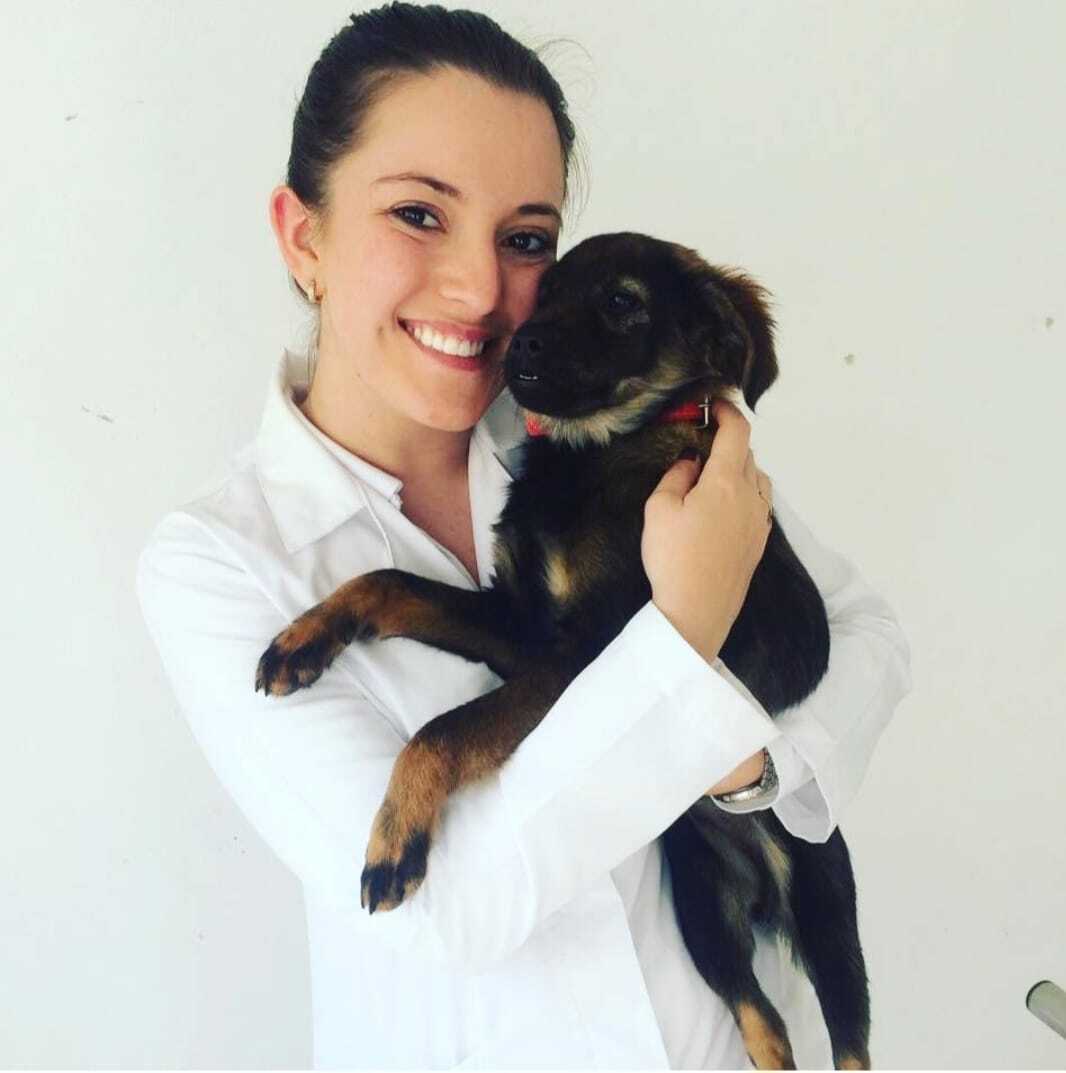 AmelieDesvars's tweet photo. Welcome Anna Pontel de Almeida (@AnnaPontel ) to the team!  Anna joined the #OneHealth doctoral program @Vetmeduni and will focus on One Health modeling.  Co-supervision by Peter Roth (@p_m_roth) (Computational Medicine) and me (Infectious Disease Epidemiology) #multidisciplinary https://t.co/gduOGnqtSl