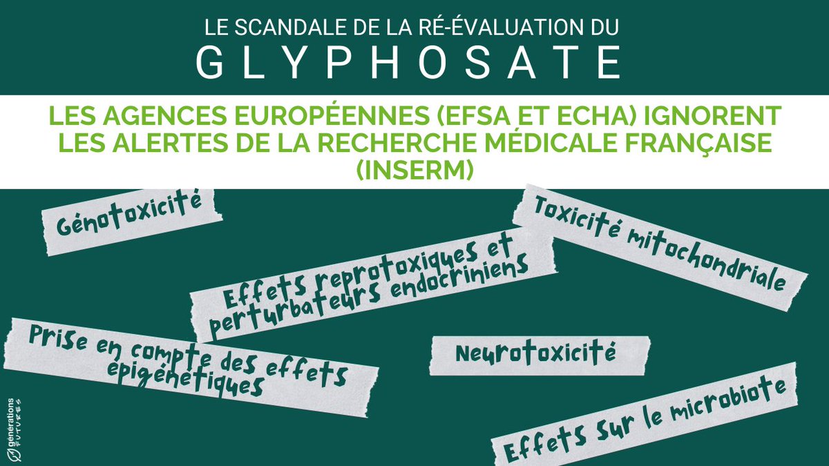 😡🚨Les agences sanitaires #efsa #echa ignorent de très nombreux effets toxiques du #glyphosate mis en évidence par la recherche médicale française #Inserm
C’est ce que démontre <a href="/genefutures/">Générations Futures</a> dans son nouveau rapport publié ce jour.
<a href="/Veillerette/">François VEILLERETTE</a> @PaulineCervan 
Explications ⤵️ 1/