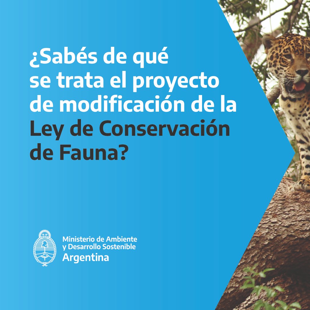 SecreTurAmbDep's tweet photo. Presentamos modificaciones a la Ley de Fauna

El ministro @juancabandie  junto a la diputada nacional @AliAparicioOK , presentaron el proyecto de modificación de la Ley de Fauna y la prohibición de trofeos de caza https://t.co/tpRD8rnXEY