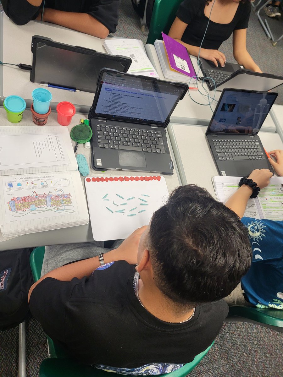 Combining science and art, <a href="/missionechs/">Mission Early College High School</a> students created play doh models and corresponding descriptions to demonstrate mastery. #TeamSISD #PhoenixFamily #FirstandBest