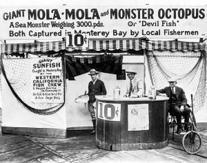Extra! Extra! Only 10 cents to see a giant sunfish and 'monster' octopus on the boardwalk in Santa Cruz in 1927, courtesy of the funky folks at @beachboardwalk.
