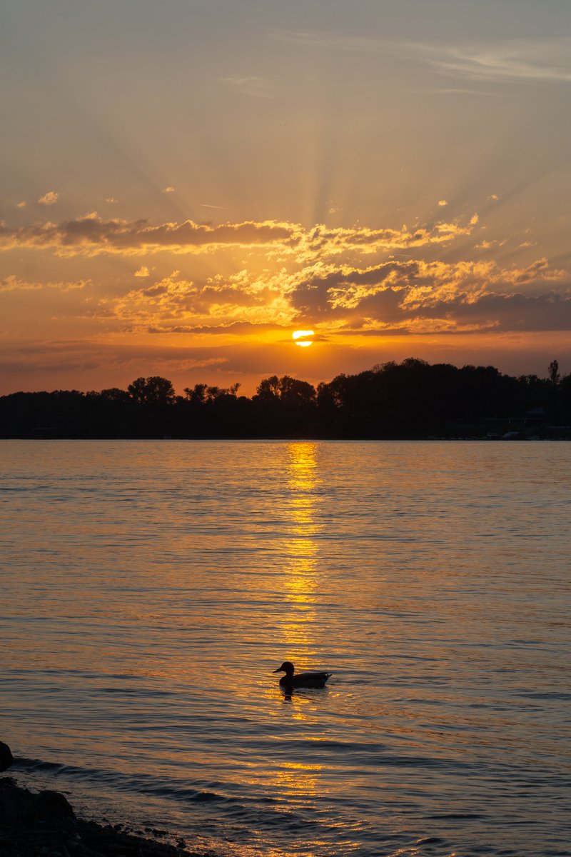 Marko Bogdanović tweet media