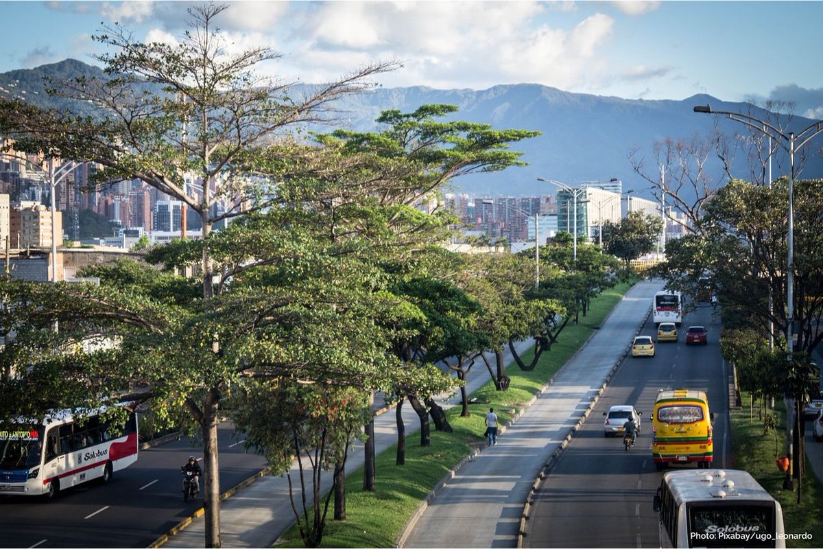 In 2016, the city of Medellin launched a 'green corridors' project, filling the city with trees and plants, creating and connecting more than 30 green zones. The result? ✅ A 2 degrees reduction in temperature ✅ Better air quality ✅ Increased wildlife 👏🏼👏🏼